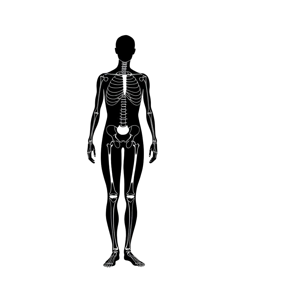 Wireframe of pose tracking